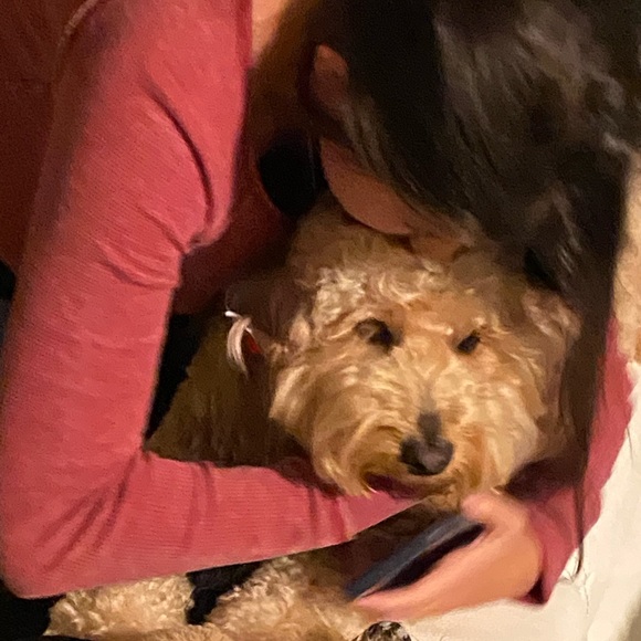 Meet your Posher, Mate - Picture 1 of 1